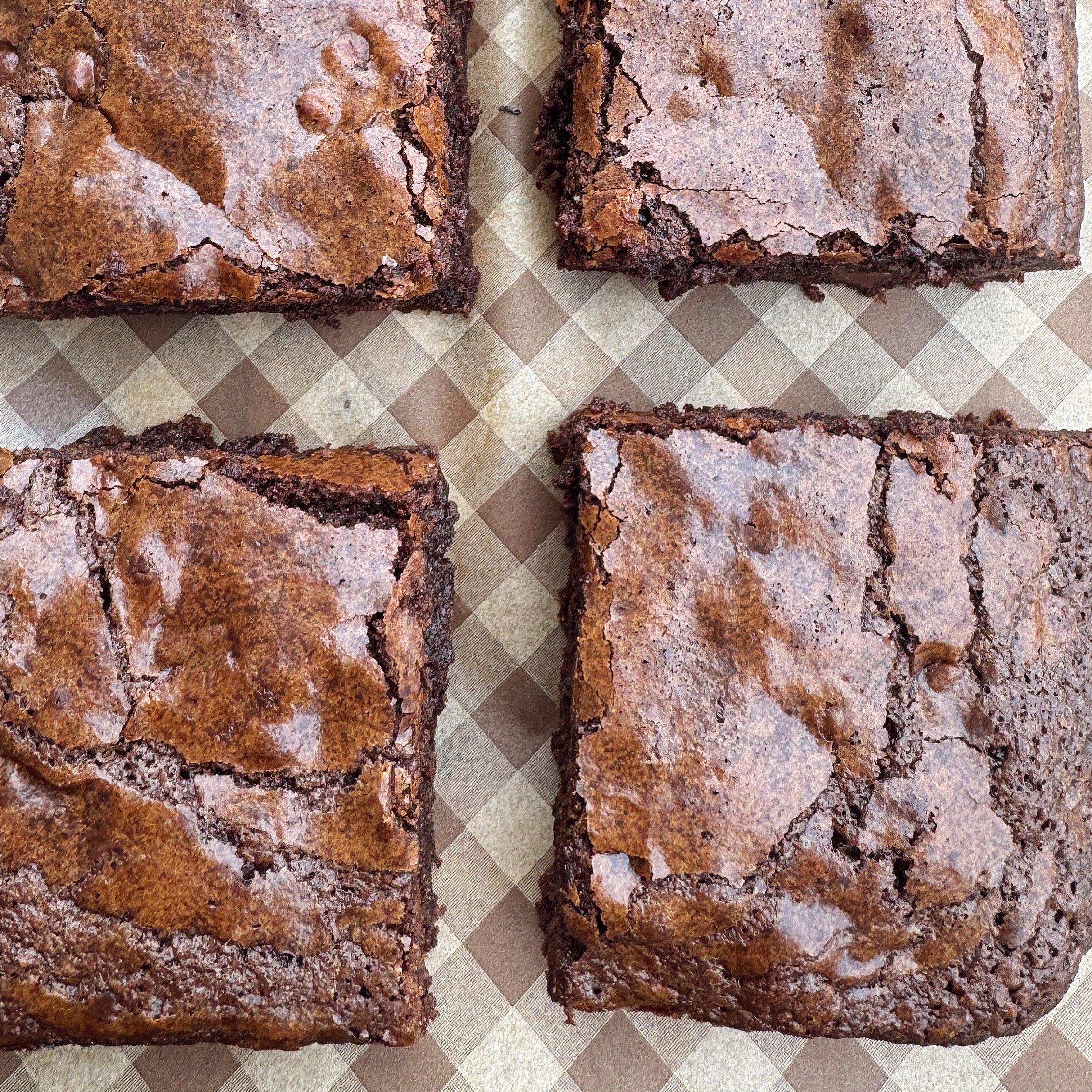 Brownie Bust